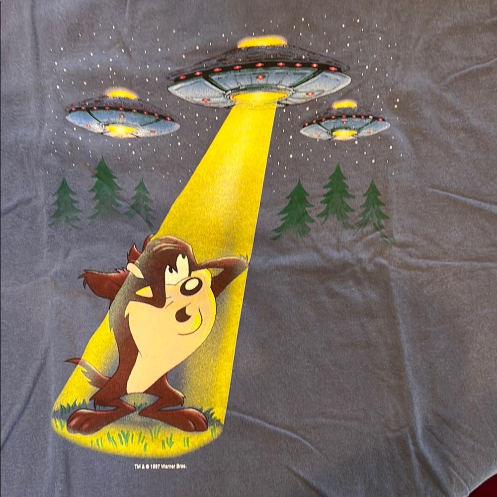 Warner Bros. Gray and Yellow Short Sleeve Tee